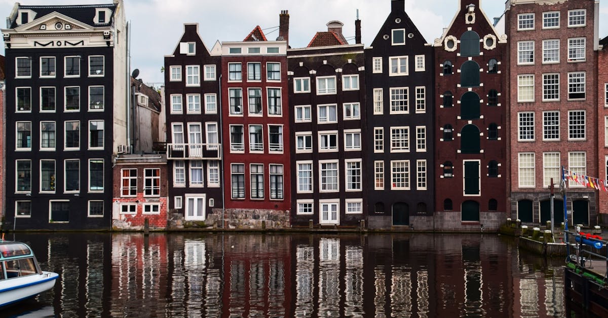 Assessing Your Progress in Self-Paced Dutch Language Studies