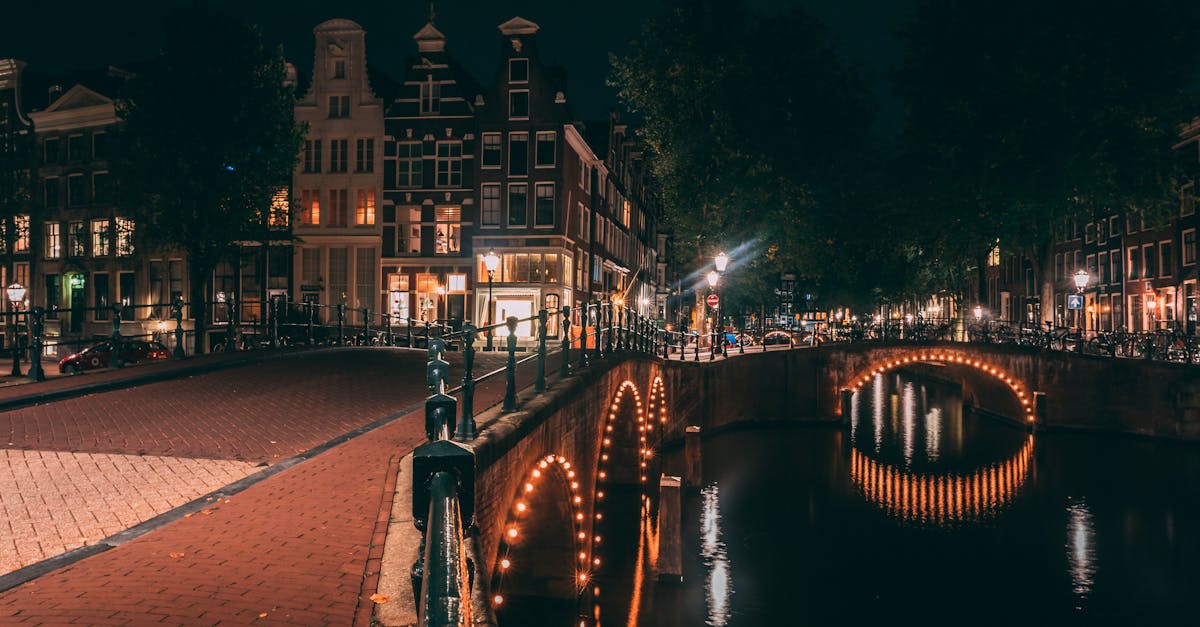 Benefits of Self-Paced Dutch Courses for Busy Professionals