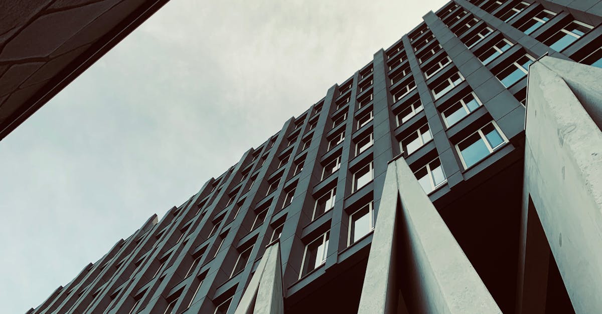 Building Confidence: Communicative Techniques for Beginner Dutch Learners