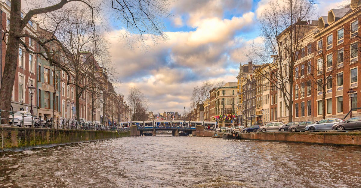 Comparing Beginner Dutch Classes: What Amsterdam Offers