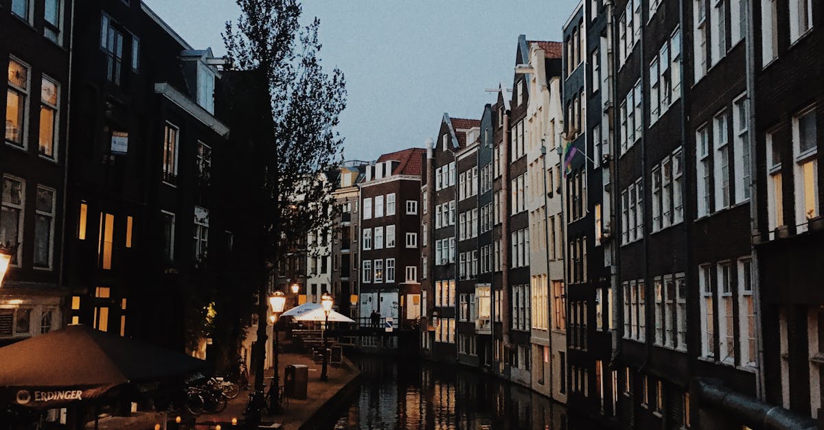 Comparing Self-Paced Dutch Language Courses for Beginners