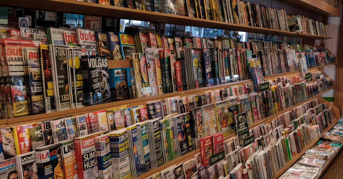 Comprehensive Dictionaries for Dutch Language Study