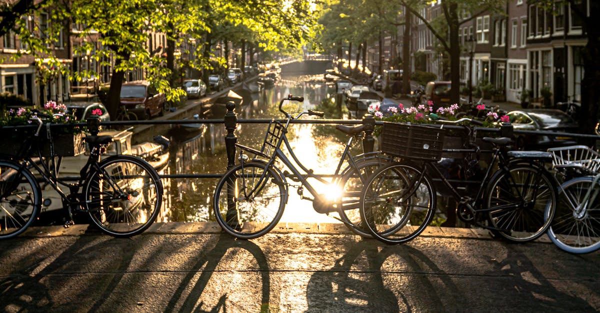 Creating a Personalized Learning Path with Interactive Dutch Tools
