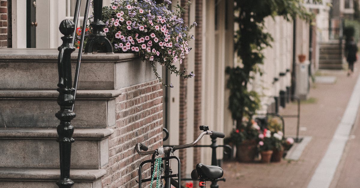 Engaging Activities in Beginner Dutch Classes in Amsterdam