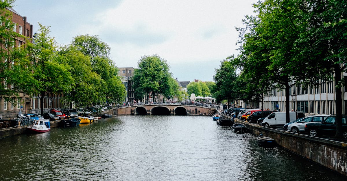 Engaging Group Conversations in Amsterdam's Dutch Classes