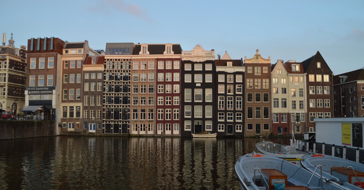 Engaging Live Group Classes: A Path to Fluent Dutch