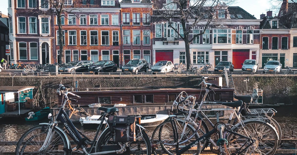 Essential Features of Video Conferencing Platforms for Dutch Instruction