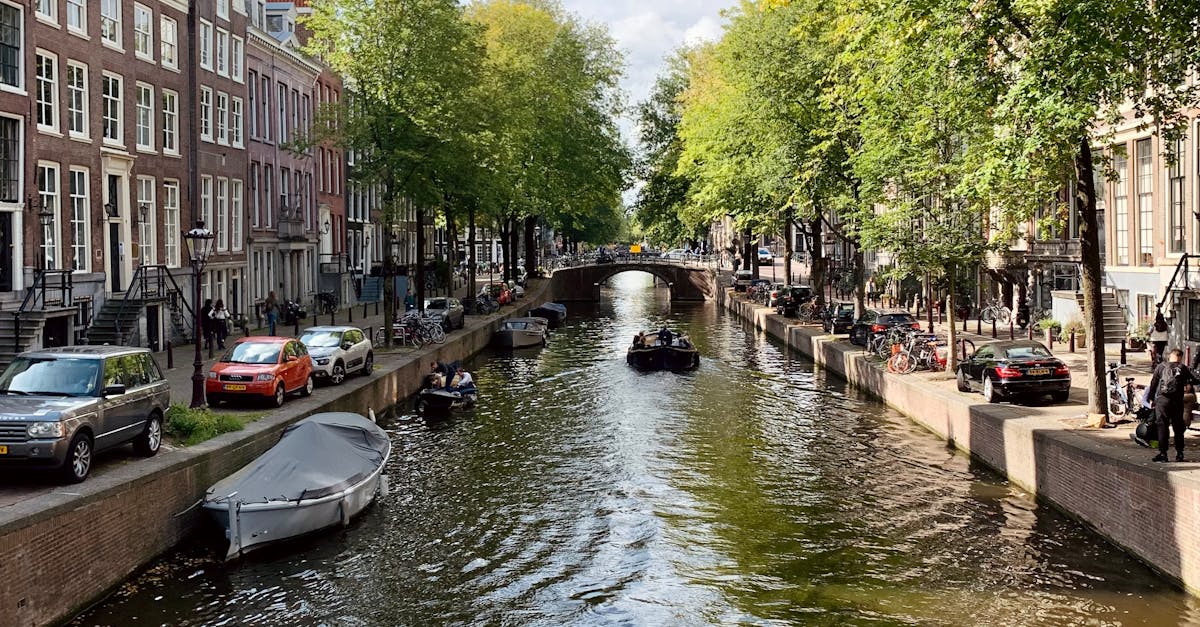 Essential Phrases for Newcomers: A Beginner's Guide to Dutch