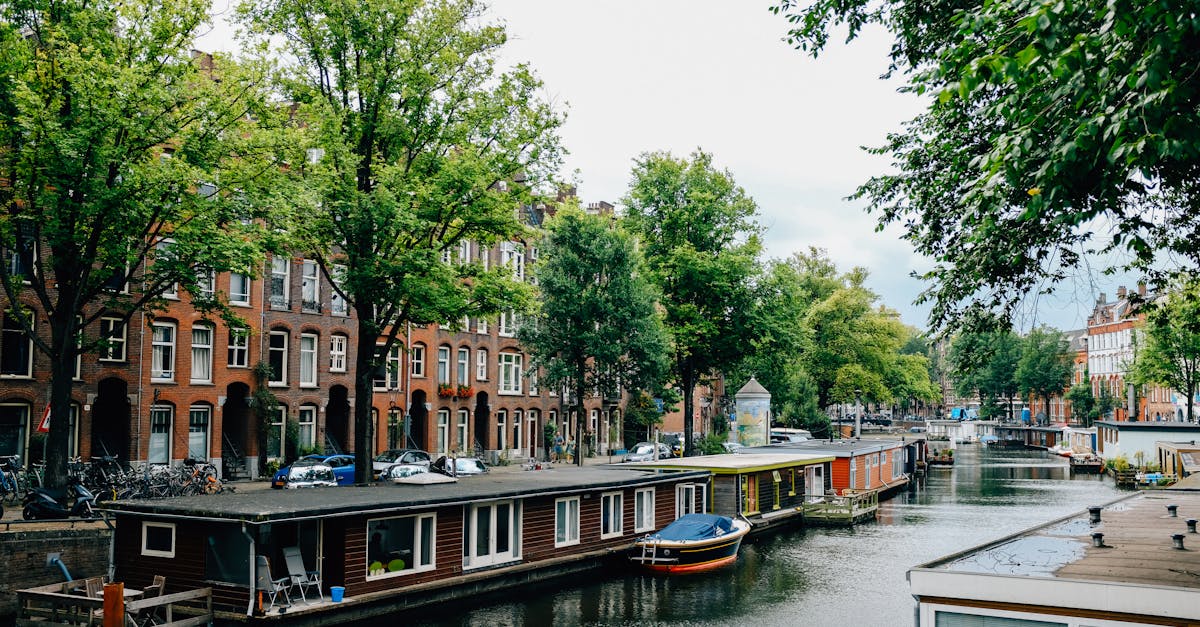 Exploring the Best Interactive Platforms for Learning Dutch Online