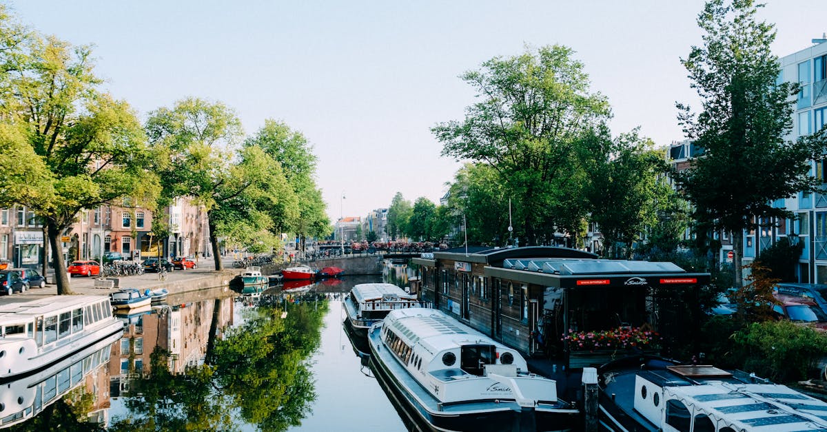 Finding Community in Live Dutch Classes: An Essential Element