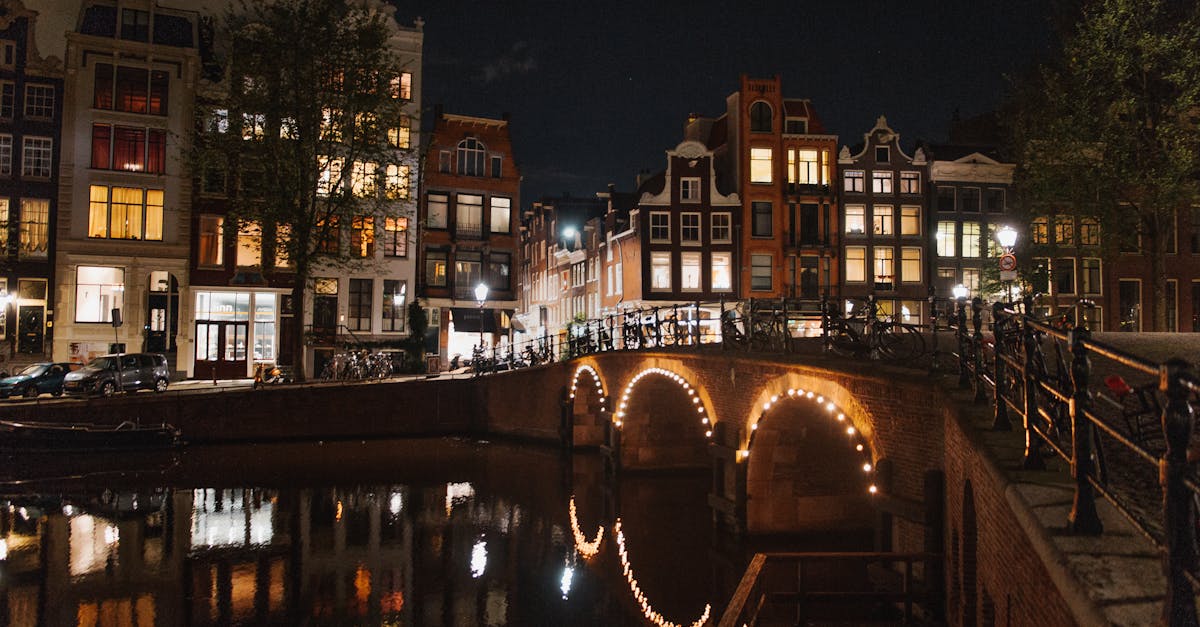 How to Enhance Your Dutch Skills with Interactive Exercises