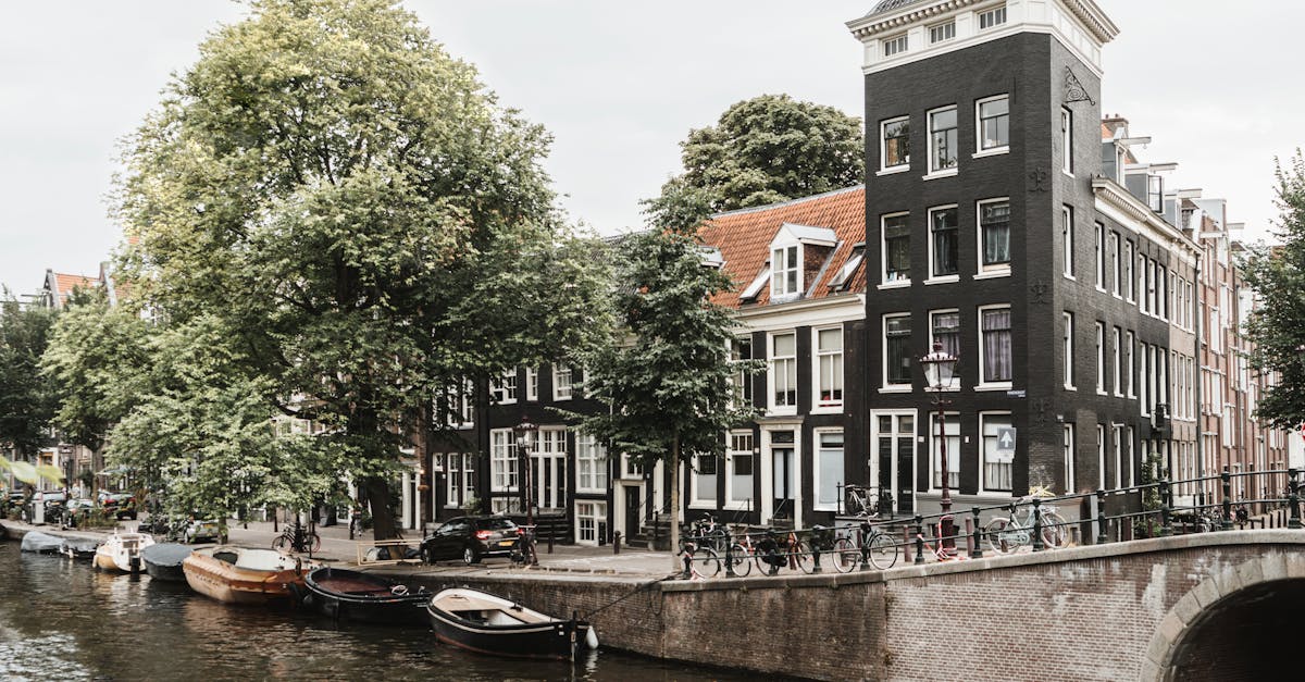 How to Get Feedback on Your Dutch Writing from Online Peers