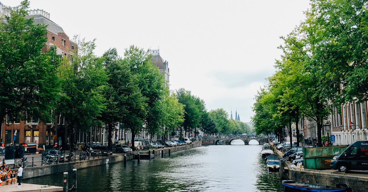 How to Incorporate Dutch Podcasts into Your Learning Routine