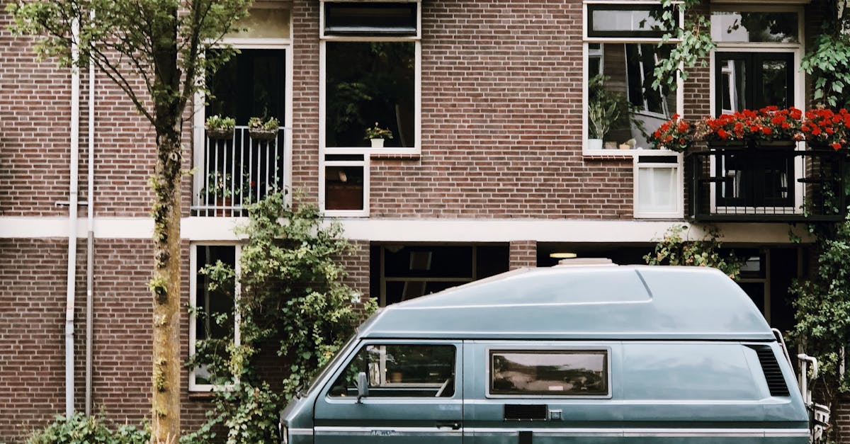 Navigating Everyday Situations: Dutch Speaking Practice in Amsterdam