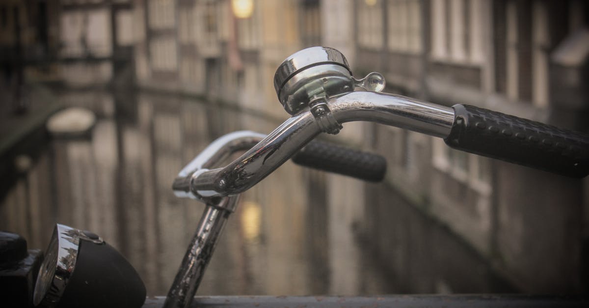 Navigating the Best Online Groups for Dutch Learners