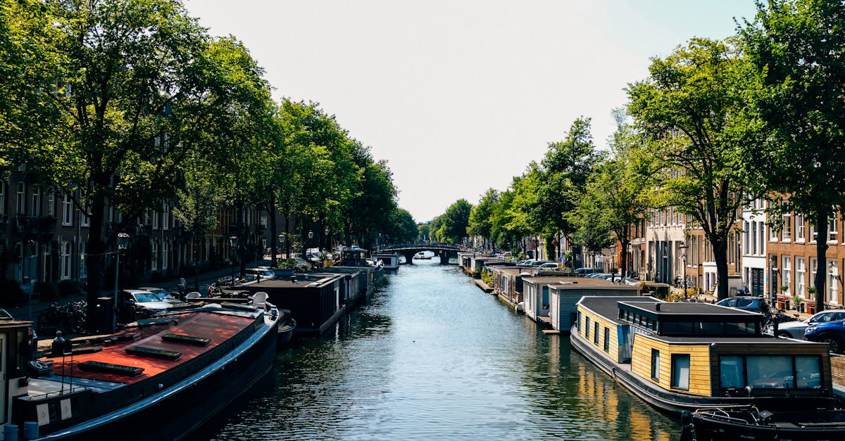 Navigating Your First Dutch Class: What to Expect as a Beginner
