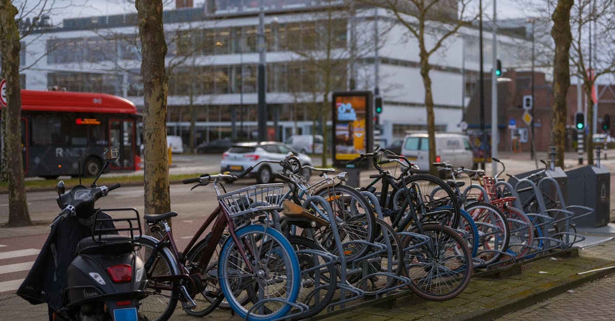 Overcoming Common Challenges in Intermediate Dutch Language Learning