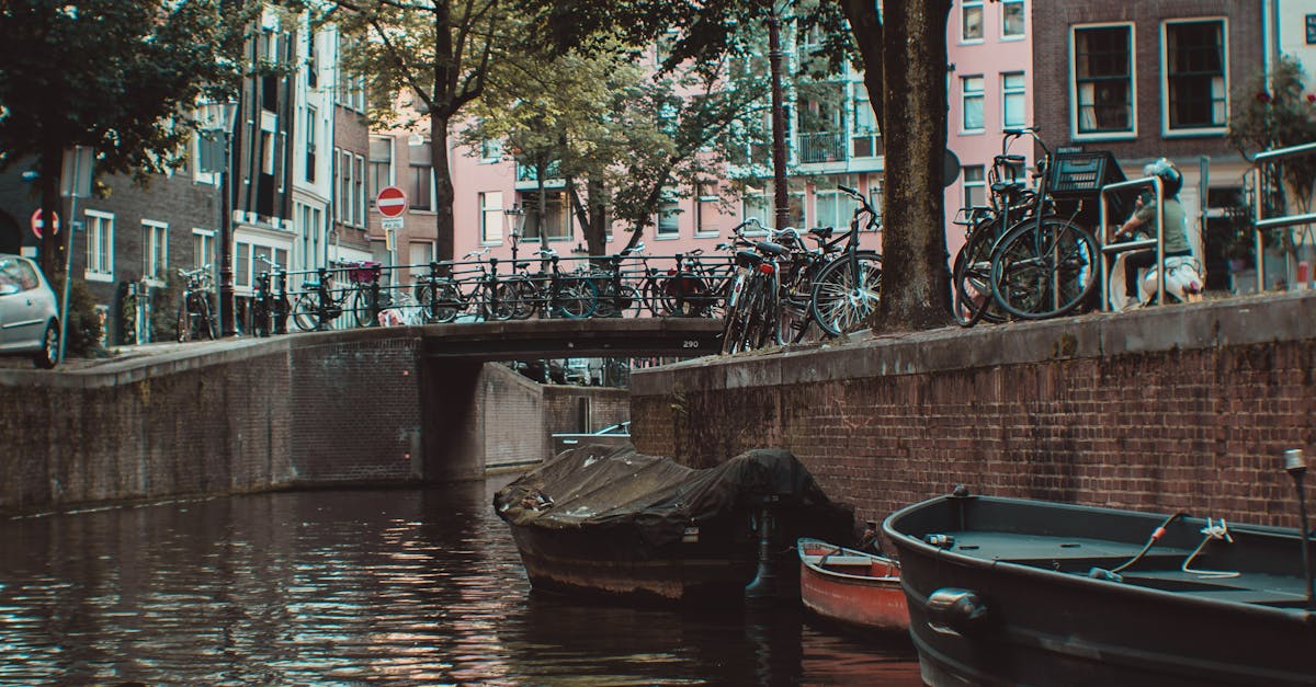 Real-Time Practice: Speaking Dutch with Others Online