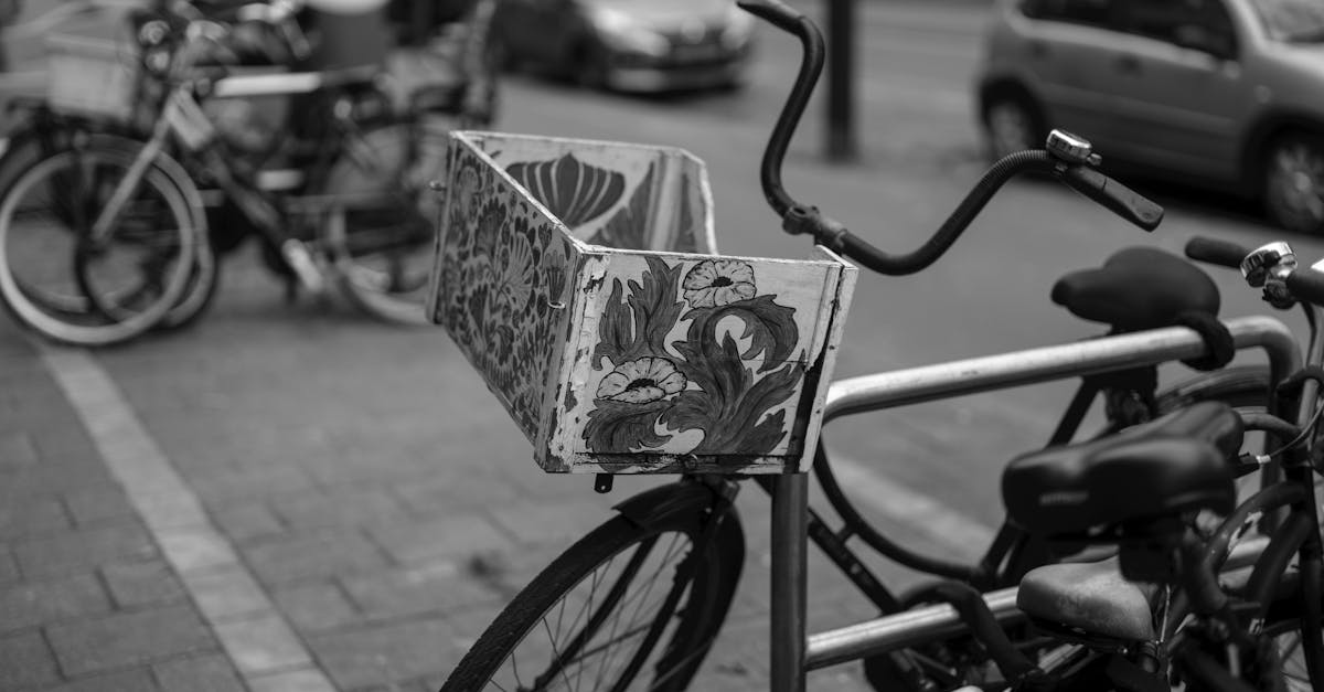 The Impact of Architecture on Dutch Language Learning
