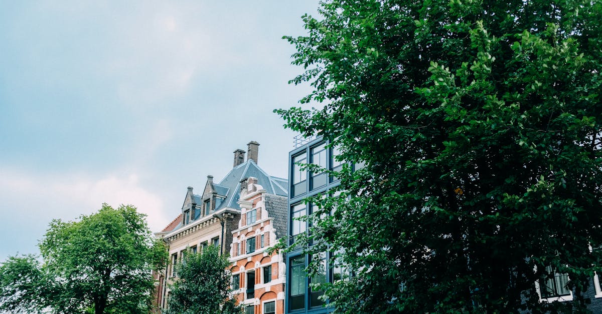 The Importance of Cultural Context in Dutch Conversations