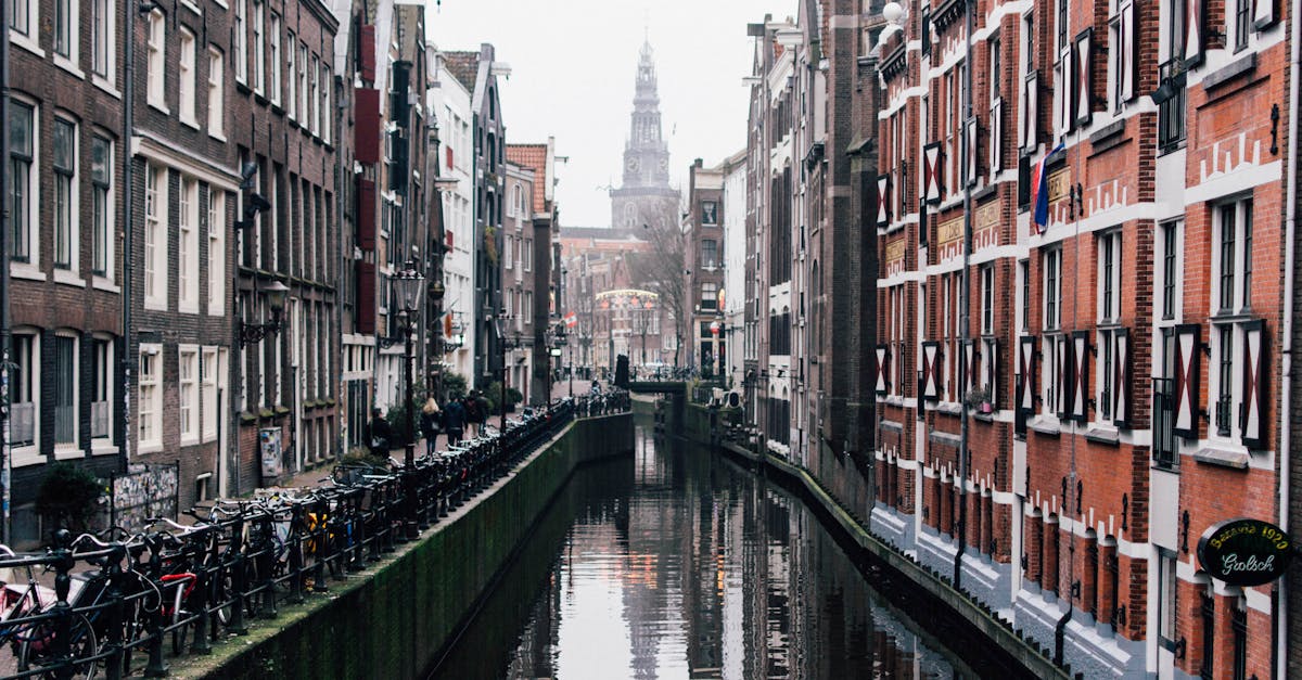 The Role of Feedback in Dutch Conversation Practice