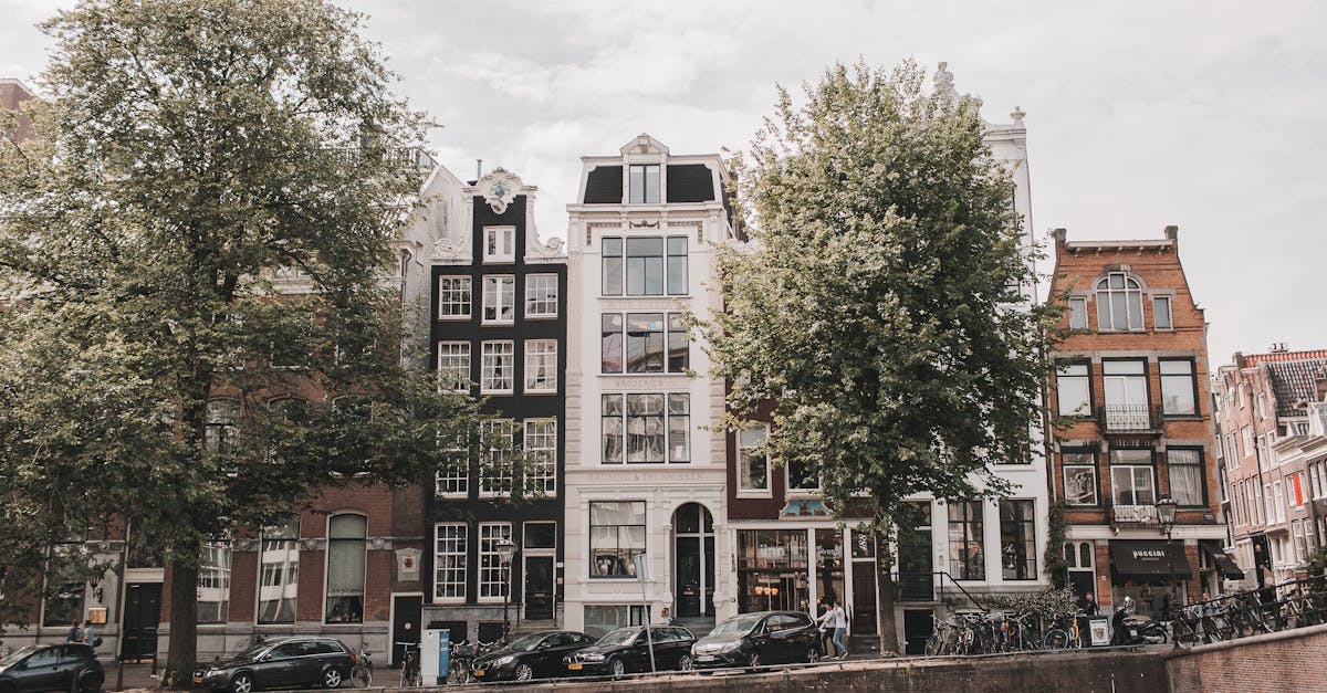 The Role of Interactive Quizzes in Mastering Dutch Language