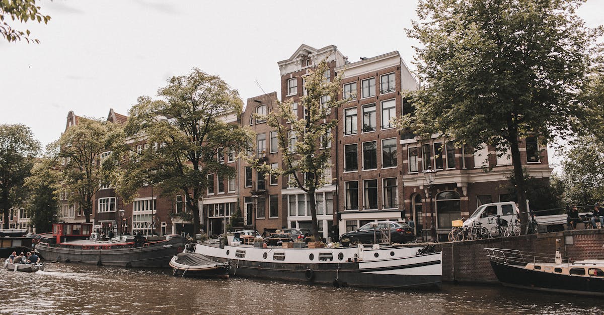 Tips for Maximizing Your Experience in Live Dutch Group Lessons