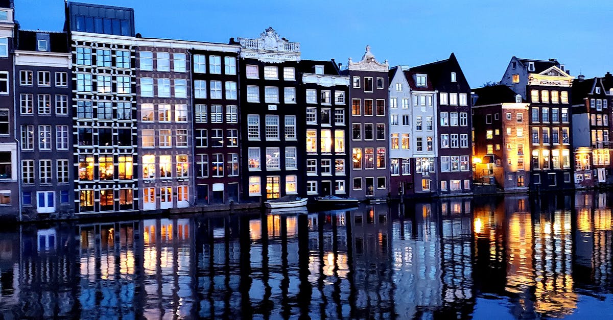 Top Online Dutch Forums to Enhance Your Language Skills