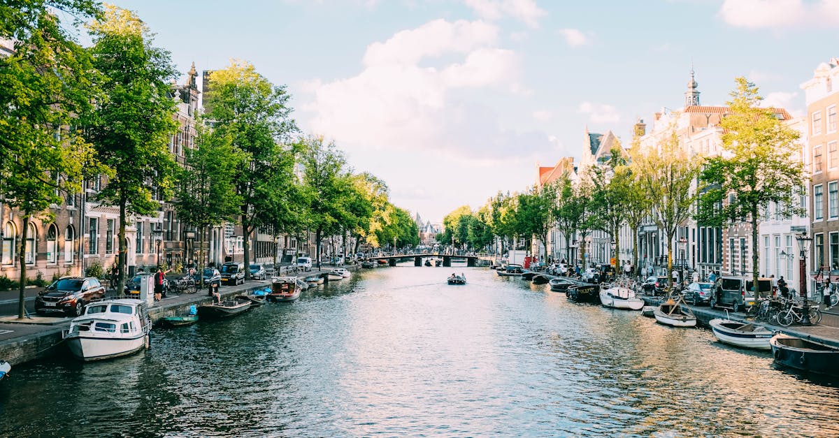 Top Online Platforms Offering Self-Paced Dutch Language Learning