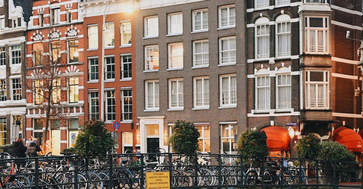 User-Friendly Apps for Practicing Dutch Grammar