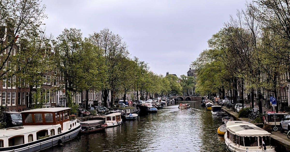 Utilizing Audiobooks to Enhance Your Dutch Vocabulary