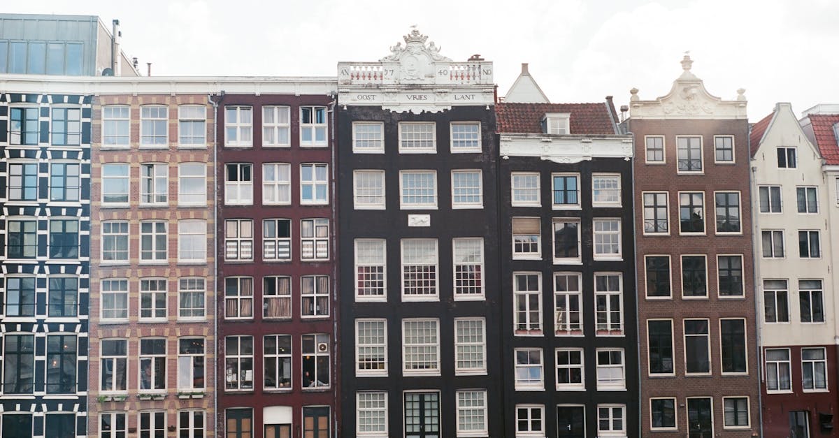 Utilizing Flashcard Software to Boost Your Dutch Vocabulary